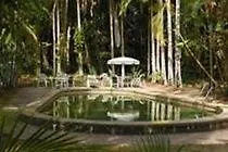 Rainforest Grove Hotel Cairns